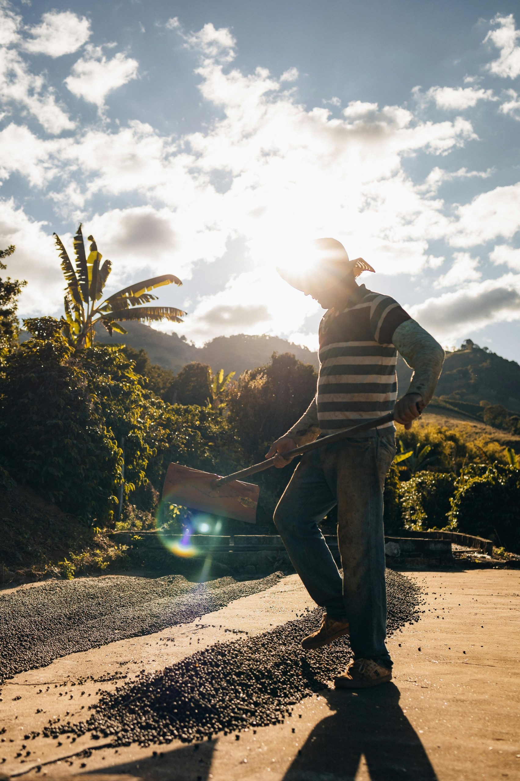 Novo estudo do IBGE destaca desigualdades regionais que impactam negociações sindicais