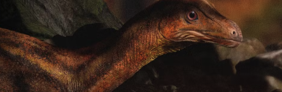 Gigantes da Era do Gelo viveram em Mato Grosso do Sul por mais tempo que o imaginado, revela estudo