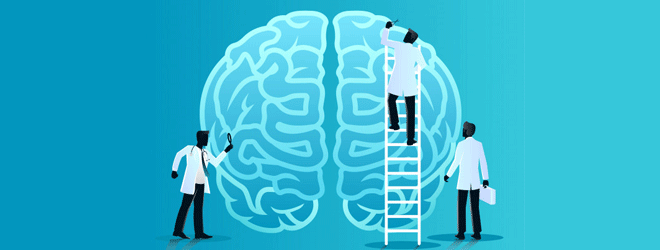 A Influência da Neurociência no Design de Sistemas Logísticos
