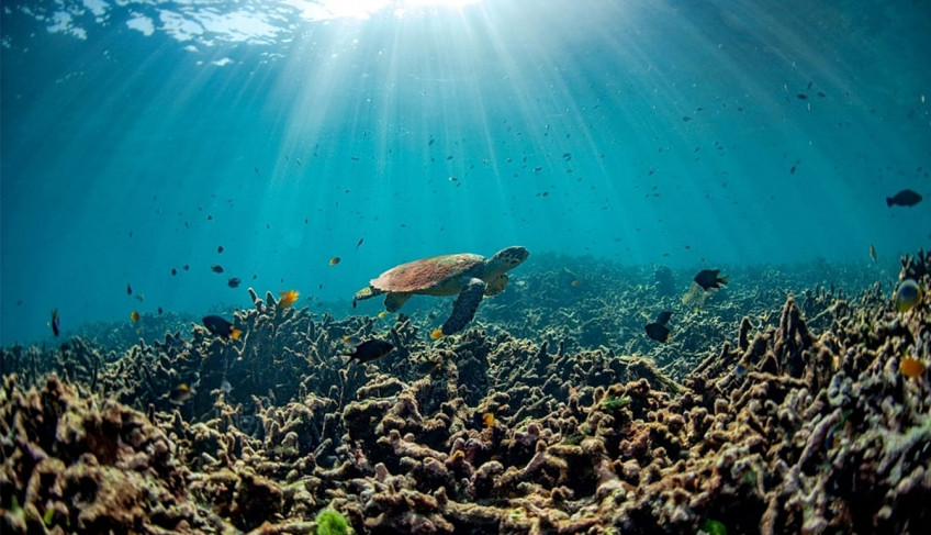 Descubra mais sobre acidificação e desertificação na Glossário da Agenda Climática