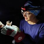 Estudo aponta que educação em saúde e iluminação podem diminuir ataques de morcegos-vampiros e casos de raiva na região amazônica