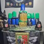 Entorpecentes dissimulados em caixas de som são confiscados em barco no Rio Solimões