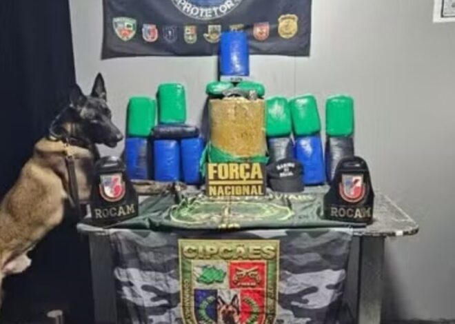 Entorpecentes dissimulados em caixas de som são confiscados em barco no Rio Solimões