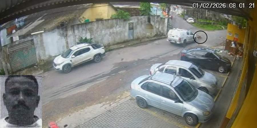 Policial militar que atropelou dois cães permanece detido por determinação judicial na cidade de Manaus