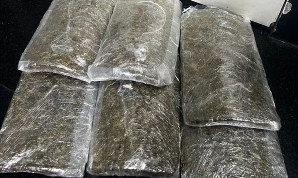 Polícia Federal detém homem com 3 kg de skunk no Aeroporto de Manaus